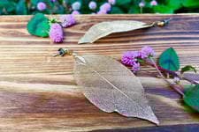 Jimdo Journey Natural Rich