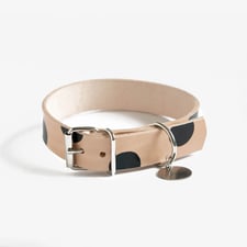 Halsband Leder modern Fashion Hund