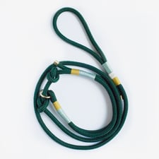 Dunkelgrüne Leine mit türkis modern