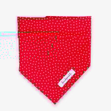 hundehaltstuch rot mit weißen Punkten hundsoadli