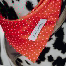 Hundehalstuch rot weiß