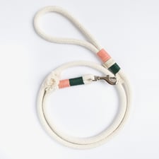 Leine aus Baumwolle modern von hundsoadli