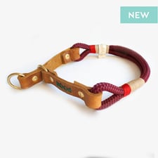 hundsoadli Halsband Lebkoung - rot aus leder und Tau