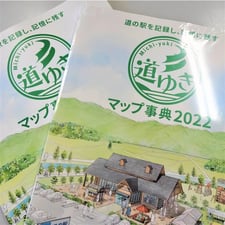 道ゆきマップ辞典2022