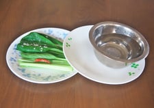 ②小松菜を漬けます