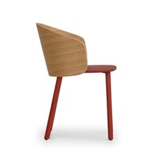 true NOT WOOD Chair furniture puntod