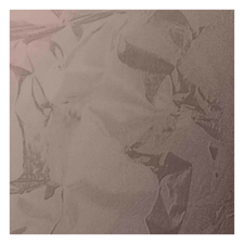 ｴｯﾁﾝｸﾞ708(箔)ﾉｲｴｽｼｬﾝﾊﾟﾝｺﾞｰﾙﾄﾞFG3