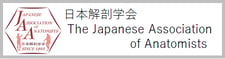 東北大学器官解剖学