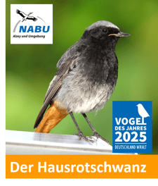 Rotkehlchen Vogel des Jahres 2021