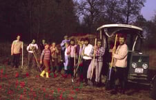 Biotoppflegeeinsatz 1983 © Archiv LBV