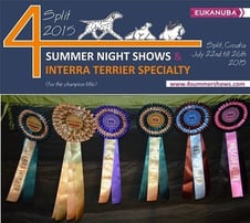 Bild anklicken um zu vergrößern 