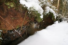 Aus dem Moor austretendes Wasser gefriert am Grabenrand zu Eiszapfen, Foto: Sabine Tappertzhofen