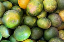 商品にならない果物を積極的に活用