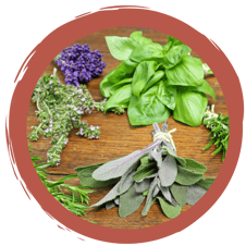 Quiz Wildkräuterbrot