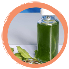 Haut-Smoothie mit Vogelmiere – ganz vegan