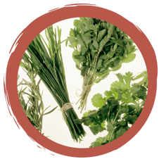 Wildkräuter-Abschluss-Quiz