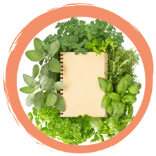 Wildkräuter Rezepte