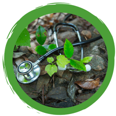 Ziel 3: Gesundheit und Wohlergehen