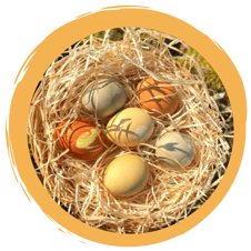 „Wildkräuter-Ostereier“ färben mit Naturfarben