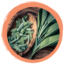 PFIFFER-Podcast: Salbeilollys