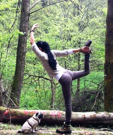 Baum-Yoga Privatstunden & Kleingruppen 