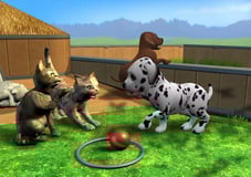 Screen My Pet School 3D