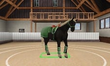 Screen Best Friends – My Horse 3D