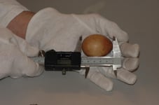 Foto: NABU/Daniel Schmidt-Rothmund