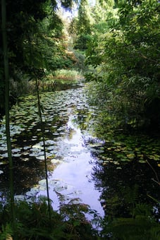 Photo Françoise Deluzarche 