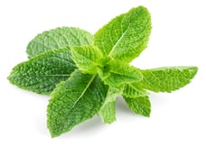 Ätherische Öle - Pfefferminze