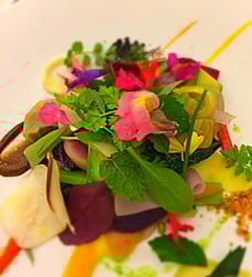 フランス　ハーブ料理