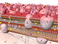 ConCoach: Analyse der Feinstruktur