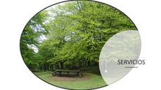 Proyectos de ordenación, dasocráticos, planes técnicos, EPIAs, EIA