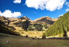 Panorama Unterstalleralm im Herbst