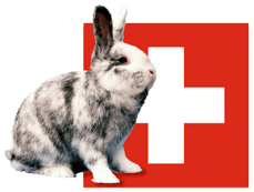 Rhönkaninchenklub Schweiz