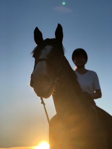 Casimir entspannt nach dem Training