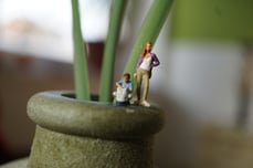 (c)zirkuszelt; regenbogenfamilien-koeln.de