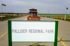 Palliser Regional Park