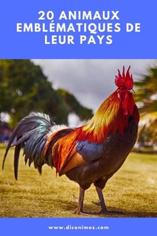 animaux emblématique de leurs pays
