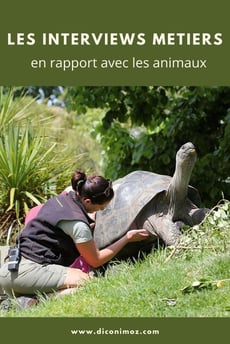 les interviews métiers en rapport avec les animaux et reportages