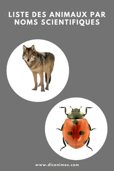 listes des animaux par noms scientifiques en latin