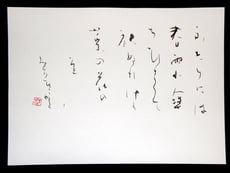 ふたりには春雨小傘ちひさくて袂ぬれけり菜の花の道