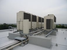 千葉大（松戸）園芸学部