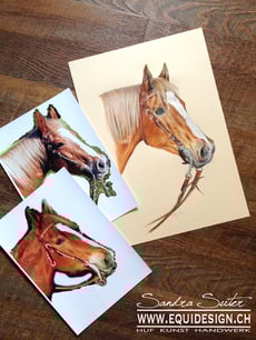 zeichnung ab foto farbe bleistift portrait pferd farbstift kopf