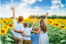 一例）ファミリーとひまわり