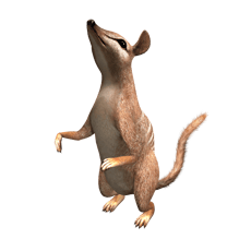 Artwork Me & My Pets 3D