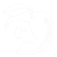 Mostheuriger Dirnberger