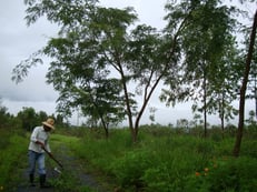 アンジッコも大きく成長しました