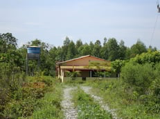 養蜂園の入口から作業小屋までの道もすっかり緑豊かになりました。