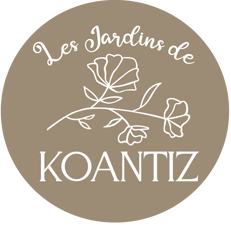 Apprendre les herbes médicinales